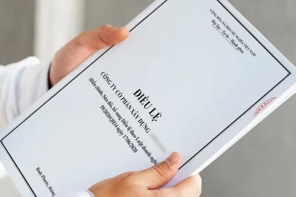 Điều lệ thành lập tiêu chuẩn Công ty TNHH một thành viên | HLR Legal