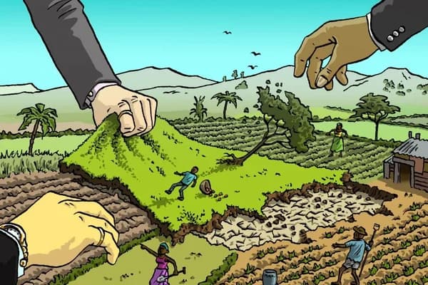 Dịch Vụ Tư Vấn Giải Quyết Tranh Chấp Đất Đai Đà Nẵng | HLR Legal Vietnam