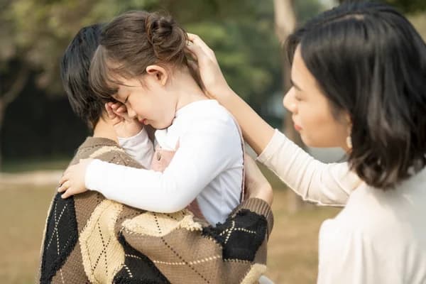 Dịch Vụ Yêu Cầu Cấp Dưỡng Nuôi Con Tại Đà Nẵng | HLR Legal
