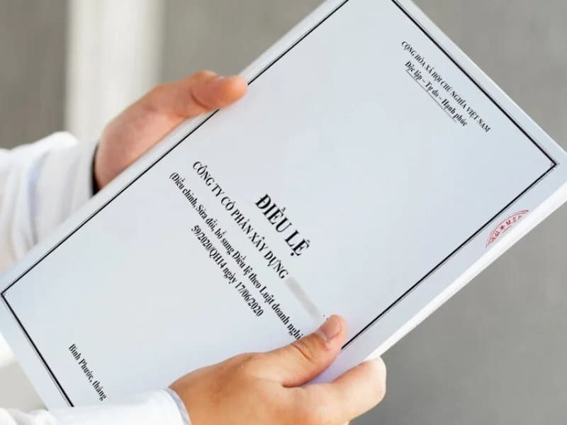 Điều lệ thành lập tiêu chuẩn Công ty TNHH một thành viên | HLR Legal